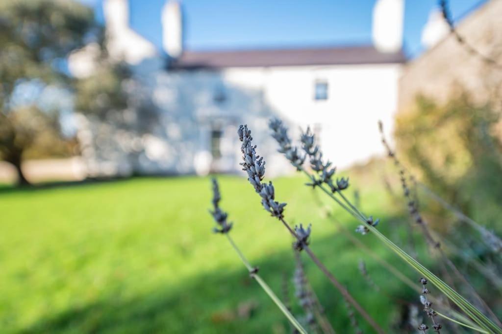 Georgian Country House -Panoramic Views -Sleeps 12 Ruthin Luaran gambar